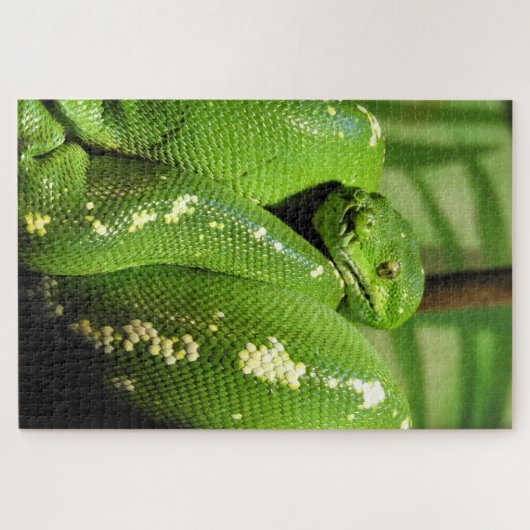 Groene boomPython Legpuzzel (Horizontaal)