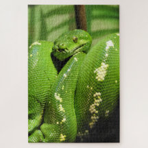 Groene boomPython