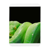 groene boompython magneet (Verticaal)