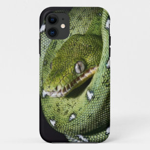 Groene boomslang emerald boa in Bolivia iPhone 11 Hoesje