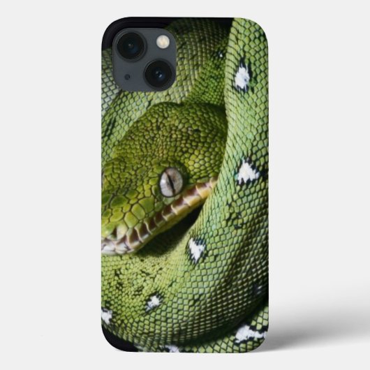 Groene boomslang emerald boa in Bolivia Case-Mate iPhone Case (Achterkant)