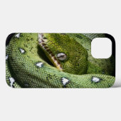 Groene boomslang emerald boa in Bolivia Case-Mate iPhone Case (Achterkant (horizontaal))