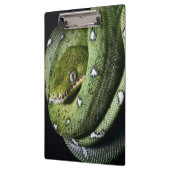 Groene boomslang emerald boa in Bolivia Klembord (Links)