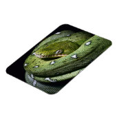 Groene boomslang emerald boa in Bolivia Magneet (Linkerzijde)