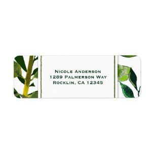 Groene Botanische Glam Plant Bladeren Elegante Tro Etiket