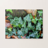 Groene botanische klimop en veldsteen legpuzzel (Horizontaal)
