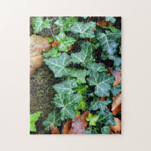 Groene botanische klimop en veldsteen legpuzzel