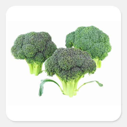 Groene Broccoli Kronen op Wit Vierkante Sticker (Voorkant)