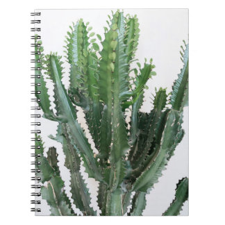 Groene cactus: minimalistische witte achtergrond notitieboek