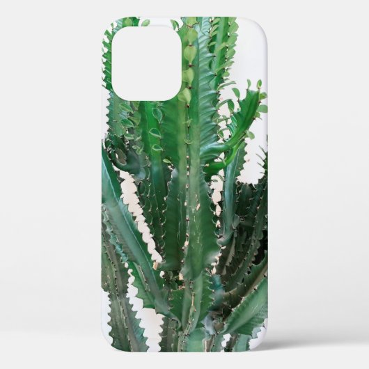 Groene cactus op witte achtergrond. Case-Mate iPhone case (Achterkant)