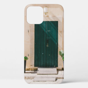 GROENE CACTUS-PLANT NAAR GROEN DEUR iPhone 12 HOESJE