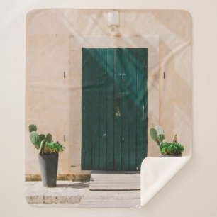 GROENE CACTUS-PLANT NAAR GROEN DEUR SHERPA DEKEN