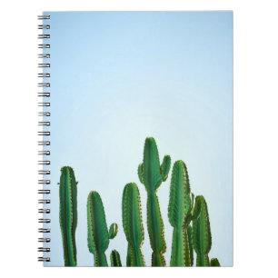 Groene cactus plant op witte achtergrond notitieboek