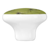 Groene cactus prikt deur en lade pull knoppen (Zijkant)