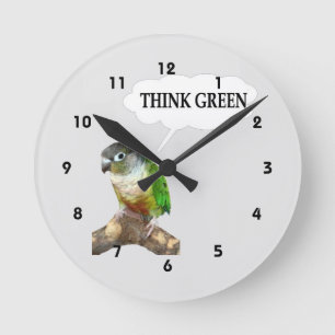 Groene Cheek Conure Groen Ronde Klok