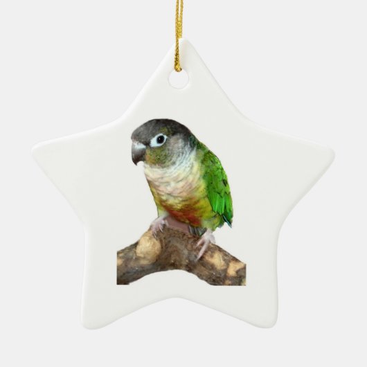 Groene Cheek Conure Keramisch Ornament (Voorkant)