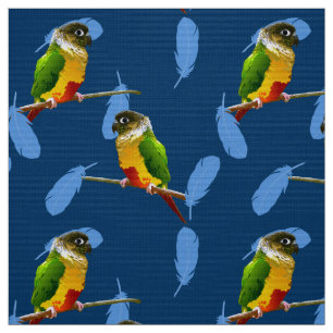 Groene Cheek Conure Paraket Fun Bird Blue Feathers Stof