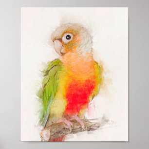 Groene Cheek Conure-portret Poster