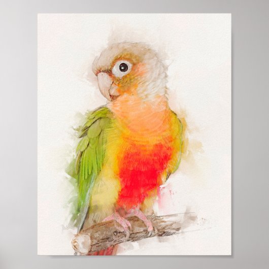 Groene Cheek Conure-portret Poster (Voorkant)