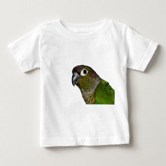 Groene Cheeked Conure (Voorkant)