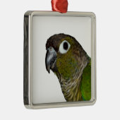 Groene Cheeked Conure Metalen Ornament (Rechts)