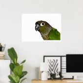 Groene Cheeked Conure Poster (Thuiskantoor)