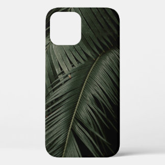 GROENE COCONUT TREINFOTO iPhone 12 HOESJE
