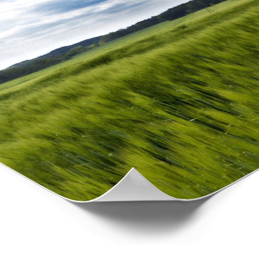 Groene Cornfields en Blauwe Skies Poster (Hoek)