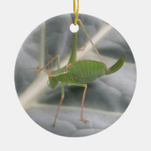 Groene cricket Macro - Aangepaste verjaardag Keramisch Ornament