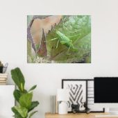 Groene cricket op een lebafdruk poster (Thuiskantoor)