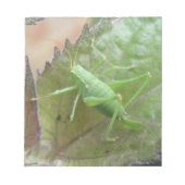 Groene cricket op een leder Notitieblok (Voorkant)