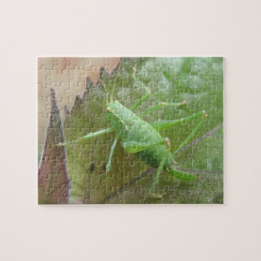 Groene cricket op een lederen puzzel legpuzzel (Horizontaal)
