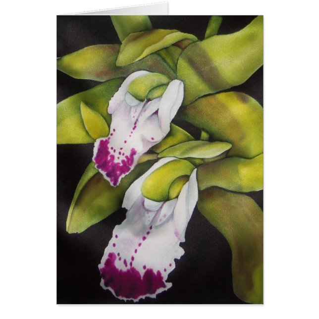 Groene Cymbidium Orchid (Voorkant)