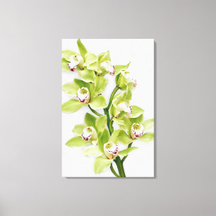 Groene Cymbidium Orchidee Bloem Verpakt Canvas Pri Afdruk