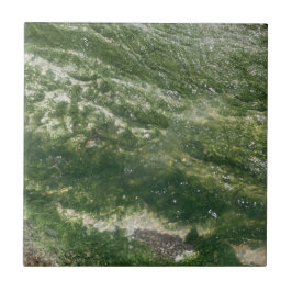 Groene decoratieve Tegel Tegeltje