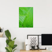 Groene deegbladeren en waterdruppels poster (Thuiskantoor)