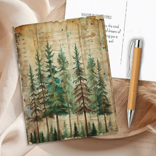 Groene Dennen Oude Natuur Bos Landschap Briefkaart