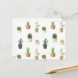 Groene dessert Succulent Cactus in Pots Briefkaart