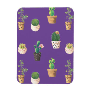 Groene dessert Succulent Cactus in Pots Magneet