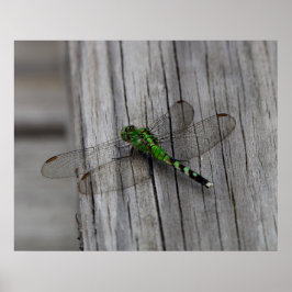 Groene Draak Poster