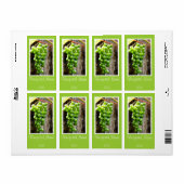 Groene druif gepersonaliseerd wijnlabel etiket (Full Sheet)