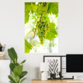 Groene druiven voor wijnstokken poster (Thuiskantoor)