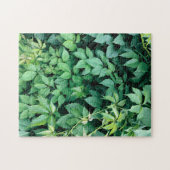 Groene druivenbladeren legpuzzel (Horizontaal)