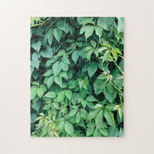 Groene druivenbladeren legpuzzel