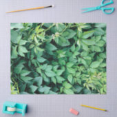 Groene druivenbladeren tissuepapier (Craft)