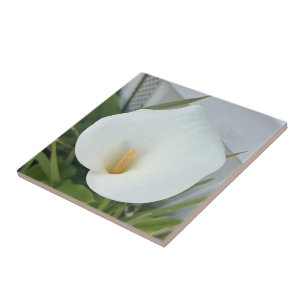 Groene Duim Tuin Plant White Calla Lily Flower Tegeltje