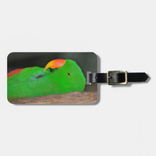 Groene eclectische papegaaivis bagagelabel