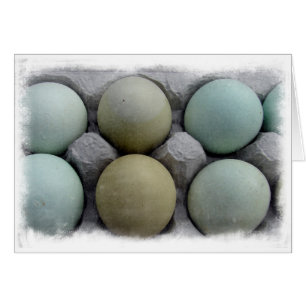 Groene eieren