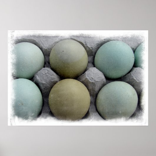 Groene eieren poster (Voorkant)