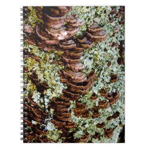 Groene en Bruine Paddenstoelen Spiral Photo Notiti Notitieboek